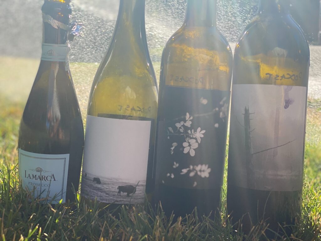 Episode 173 – Washington Wine Month Part 2: Making Beautiful Things at Brook & Bull Cellars with Winemaker, Ashley Trout