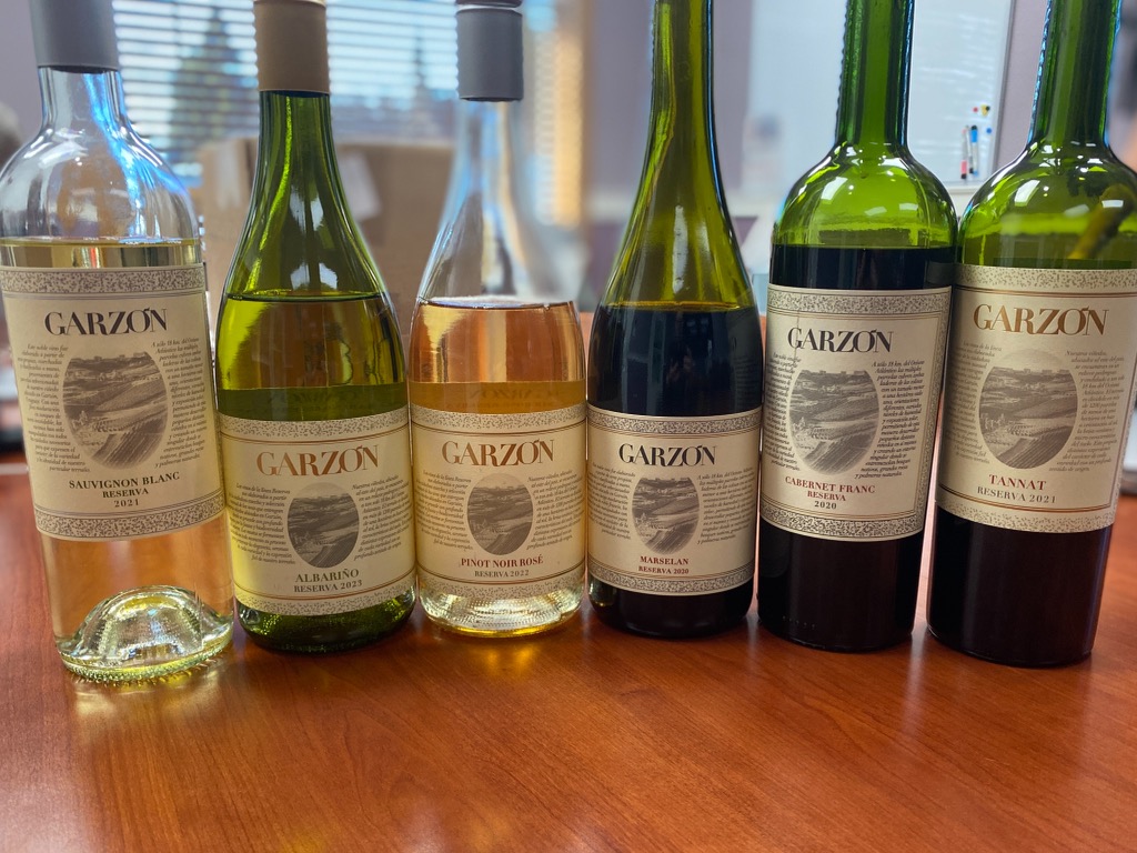 Episode 208 – A Sip of Sustainability: The Bodega Garzón Experience