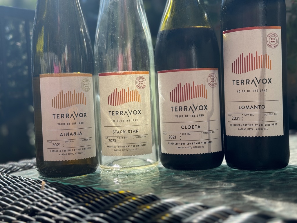 Episode 229 – Uncorking the Past: TerraVox’s Mission to Preserve Heritage Grapes