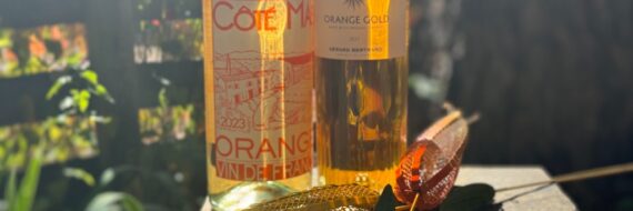 Episode 233 – Sunkissed Sips: Orange You Glad There’s Orange Wine?