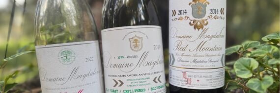 Episode 276 – Terroir Unfiltered: A Conversation with Maggie Hedges