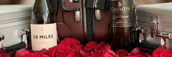 Episode 306 – Traveling with Taste: A Conversation with VinGardeValise CEO, Brooke Kochman