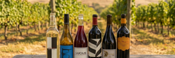 Episode 329 – WAugust Unleashed: Washington Wine Wonders with Lisa